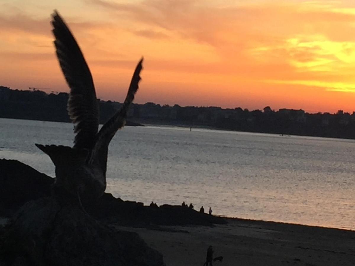 Le Cosy Intra - Apt Cocon pour séjour de charme Saint-Malo Esterno foto